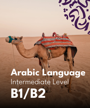 Arabic Language Course – Levels B1/B2