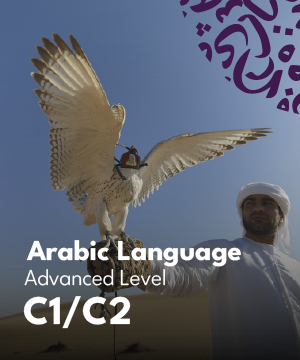 Arabic Language Course – Levels C1/C2