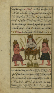 Mohammad Al-Idrisi Illustration