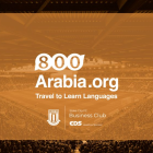 Discover the Benefits of Studying Arabic in Cairo with Eight Hundred Arabia